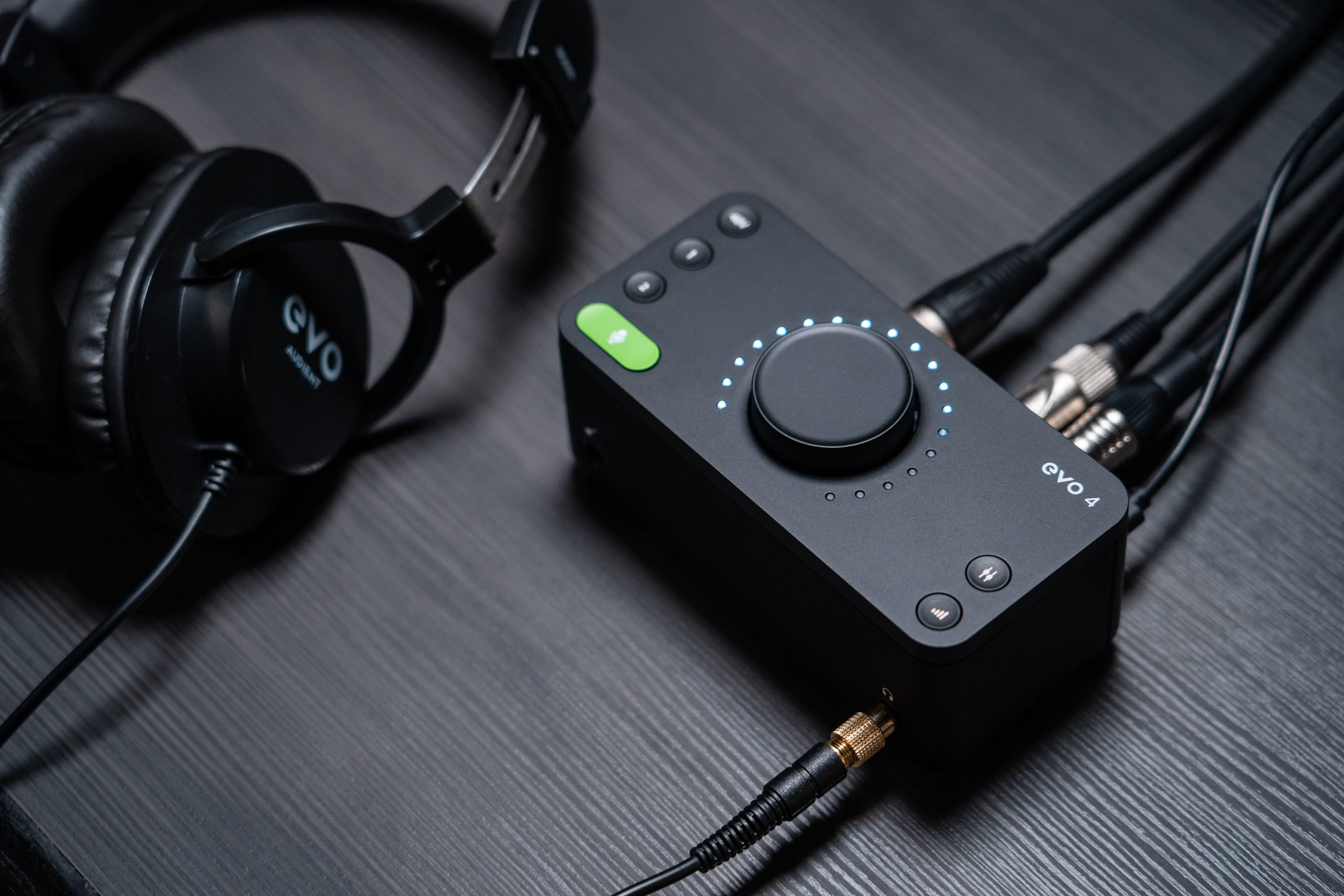 EVO 4 Audio Interface - Make great recordings effortless